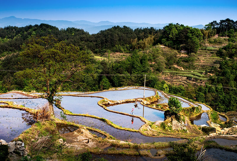 湖北松建建設(shè)集團有限公司